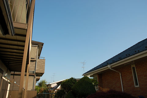 実家の庭から。。。