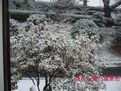 窓から見た雪景色