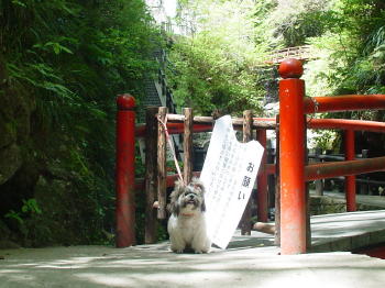 酒水の滝前、ハッピー
