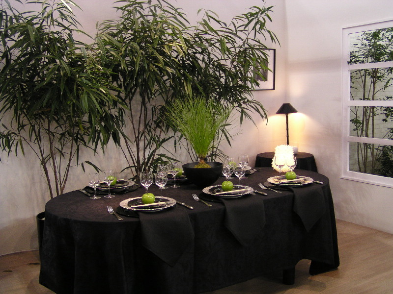 クニエダヤスエさん