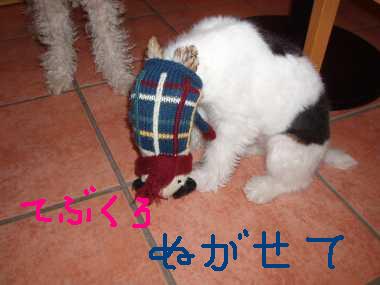 ファズ君5