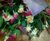 お花もいただきました＊