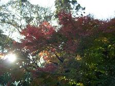 DSCN0115.JPG