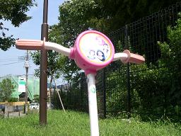 DSCN0008.JPG