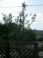 DSCN0009.JPG