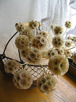 ドラムスティック　かご