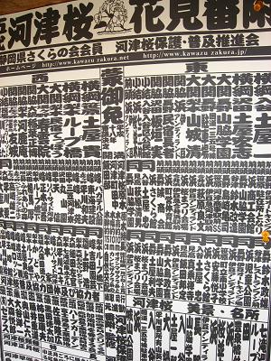 河津桜・番付表