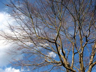 立春のあと・・・