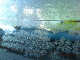 ぎんぎんに冷えています・・・