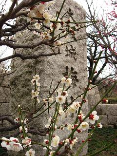 大阪城梅林入り口
