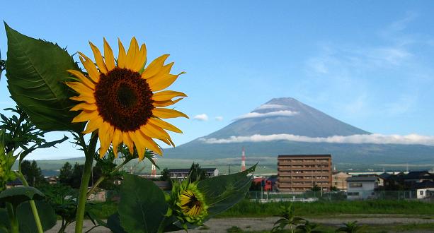 ゆく夏を惜しむ