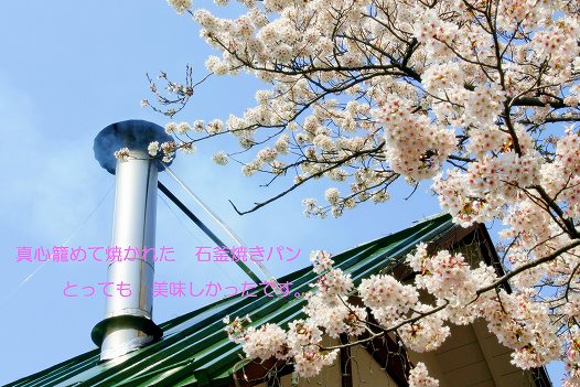 煙突の煙と満開の桜