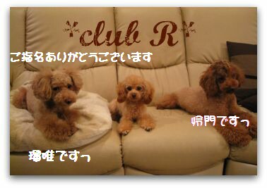 club r.jpg