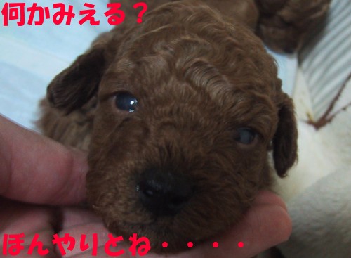 おめめだいぶ開きました