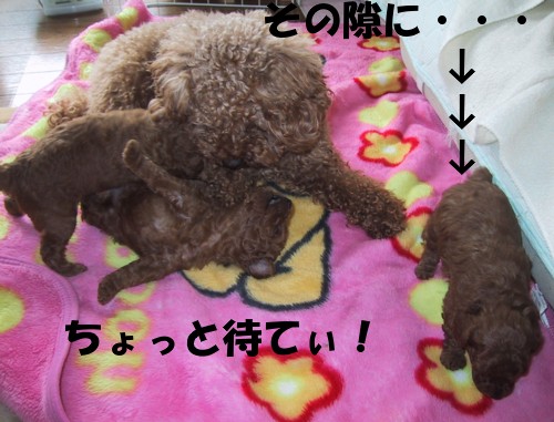 こっそり・・・