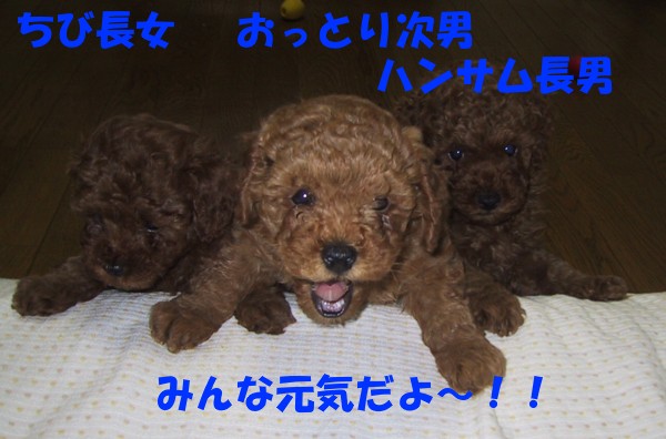 大きくなりました♪