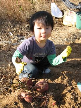 いもほり　その１