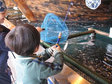 せんちゃん　あじを釣る