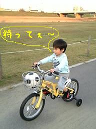 自転車　せんちゃん