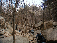 道峰山の山道