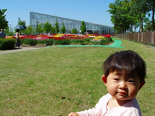 写真00380.jpg