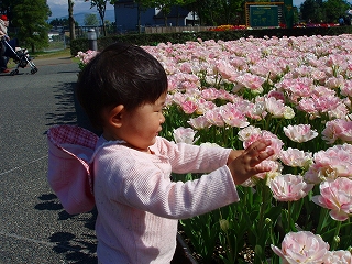 写真00390.jpg