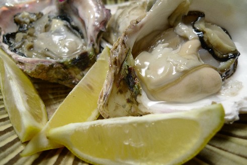 隠岐の岩牡蠣(生).jpg
