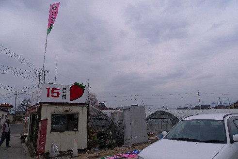 ストロベリーファーム石原.jpg