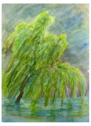 やなぎ２００５