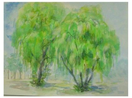 やなぎ２００６