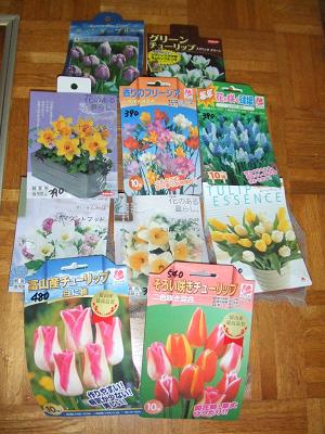 2008090817購入した球根.JPG