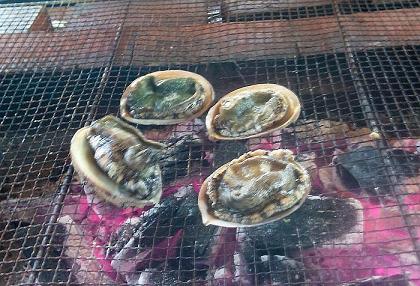 20110716あわび4つ2.JPG