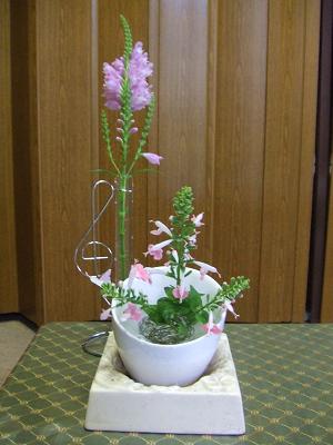 20080902切花、トラノオとピンクサルビア2.JPG