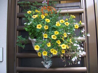 20080703玄関のハンギング、白花をアゲタラムに植え替え2.JPG