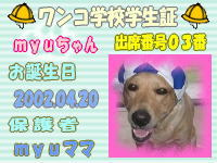 ワンコ学校学生証.jpg