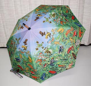 カエルの傘