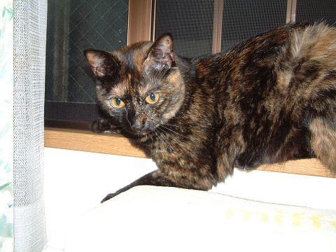 resize0098.jpg