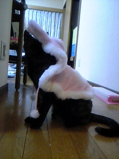 画像 025.jpg