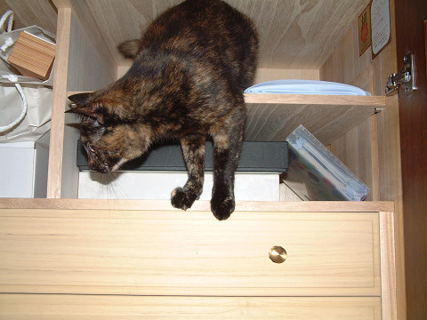 resize0072.jpg