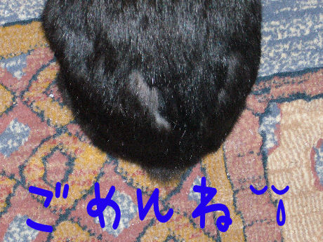 はげちゃったぁTT