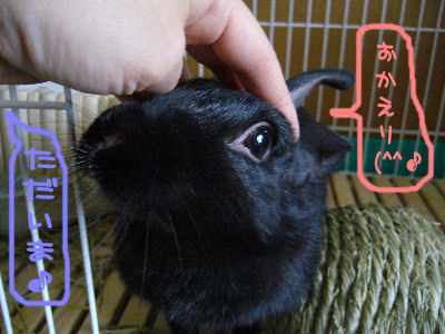 みんなぁ～　おかえり～^u^