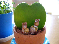 ハートのサボテン