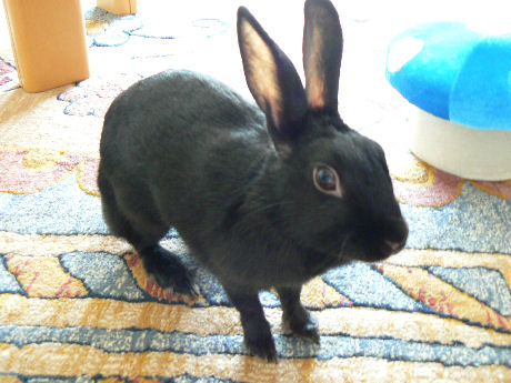 お外にいるんですよ