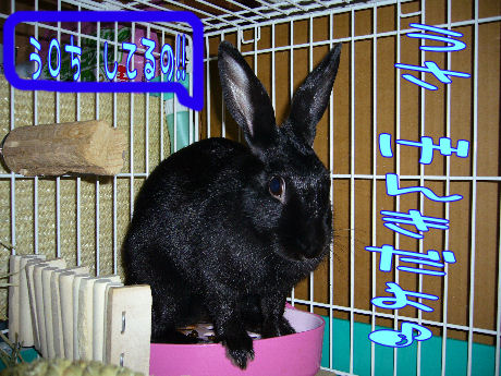 今度はう○ち中です・・・