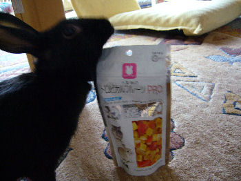 トロピカルフルーツをおすそ分け!!