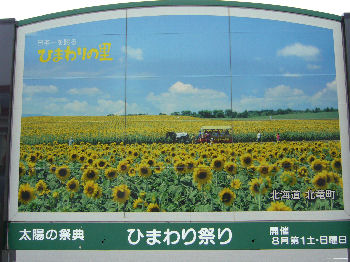 ひまわりの看板