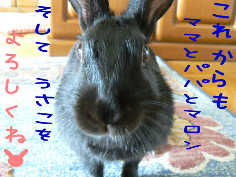 よろしくです☆