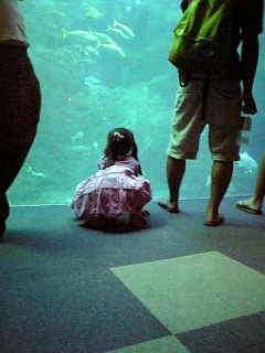 080108水族館のっか.jpg