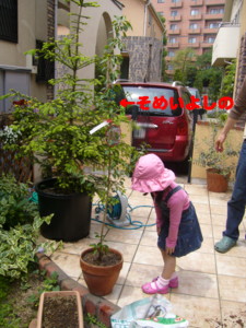 050208sakura.JPG