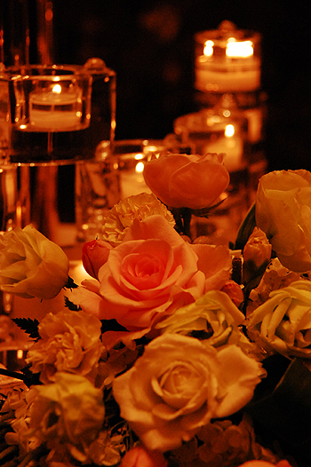 090801-2.jpg